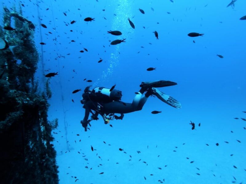 Malta: 2 Scuba Fun Dives for Certified divers - Good To Know