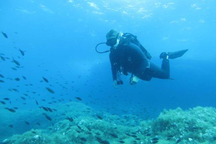 Malta: 2 Scuba Fun Dives for Certified Divers - Pre-Dive Requirements