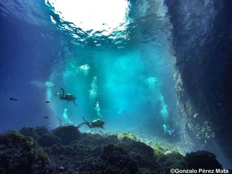 Malta: Beginner Scuba Diving with Dive Registration - Good To Know