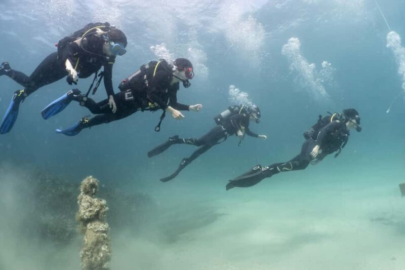 Malta: Beginner Scuba Diving with Dive Registration - The Practicalities