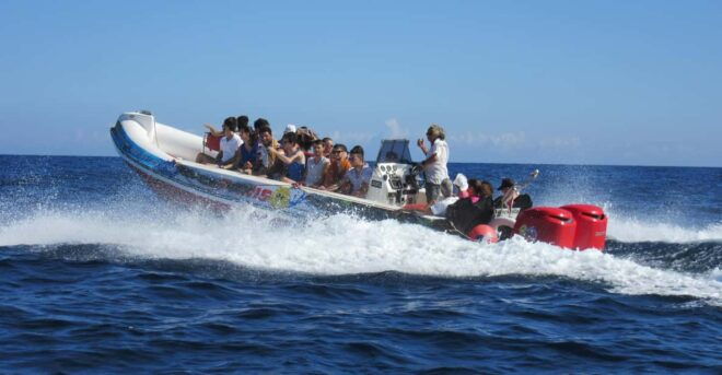 Malta: Blue Lagoon and Comino Caves Speedboat Tour - Activities and Highlights