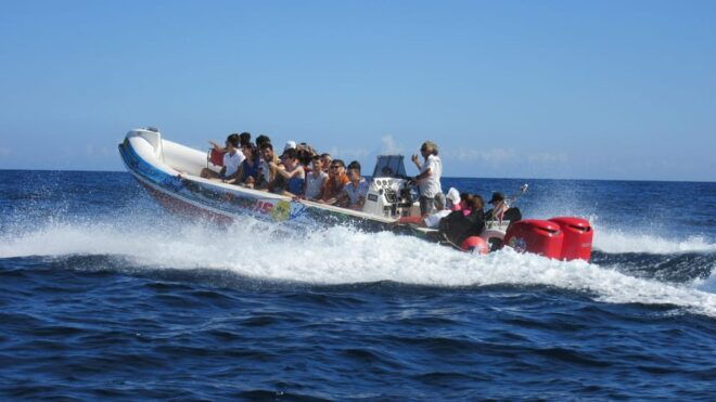 Malta: Blue Lagoon and Comino Caves Speedboat Tour - Speedboat Ride Experience
