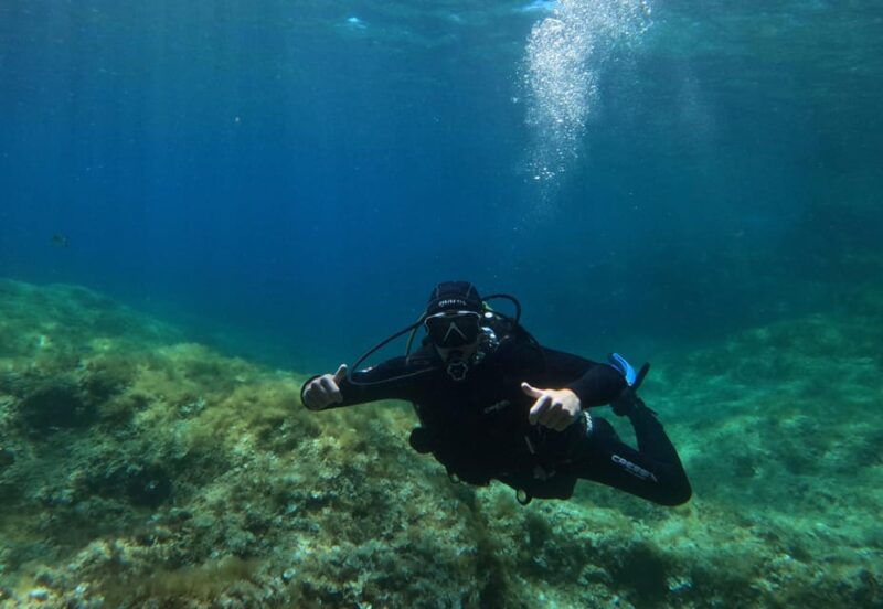 Malta: Boat Dive Trip for Certified Divers - Good To Know