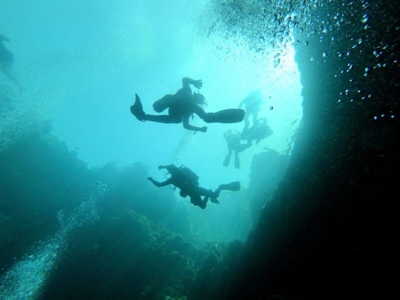 Malta: Boat Dive Trip for Certified Divers - Dive Sites and Marine Highlights