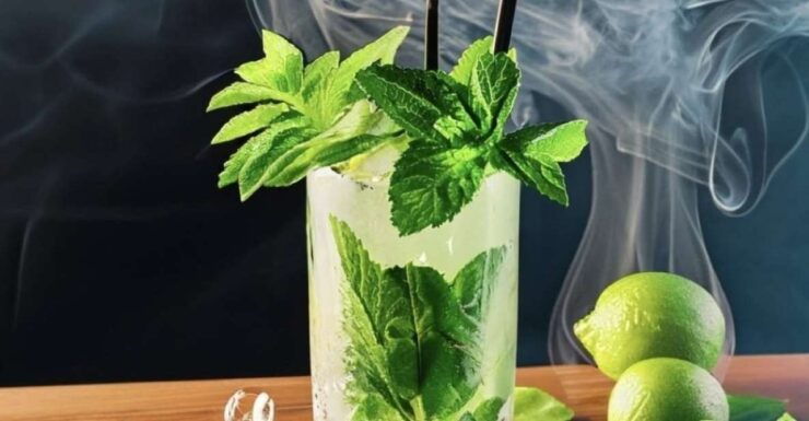 Malta: Cocktail Masterclass - Instructor Details