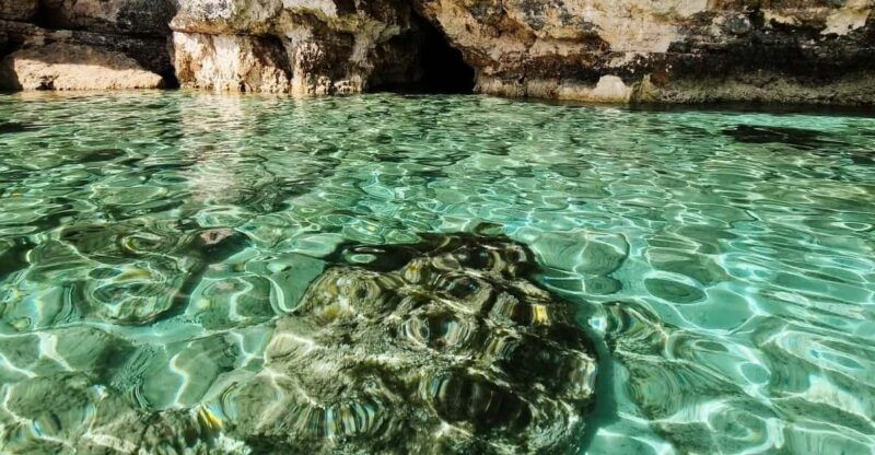 MALTA Comino BlueLagoon 3 hours Private Boat trips - Practical Details and Tips
