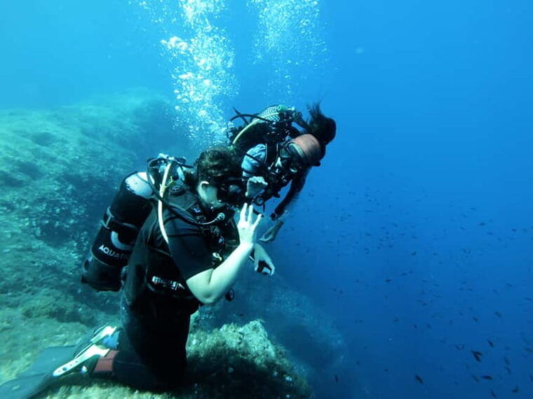 Malta: First Experience Scuba Diving Lesson - The Location & Marine Environment