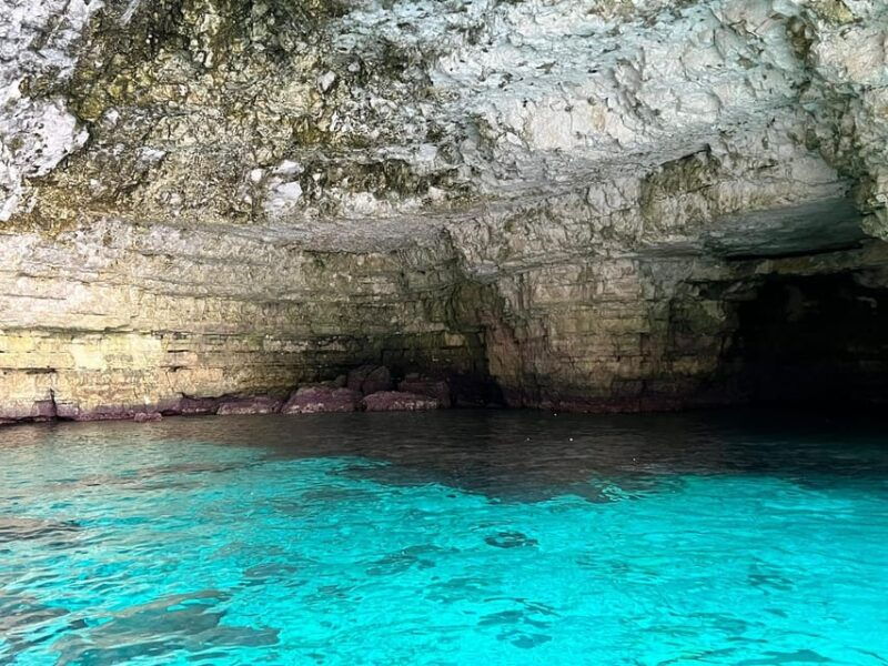Malta Gozo & Comino: Boat Tour Best Price w/inclusions 4 hrs - Who Is This Tour Best For?