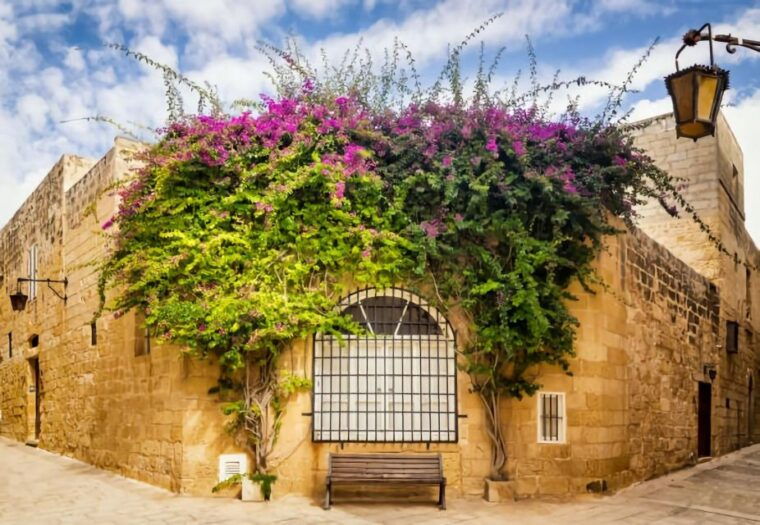 Malta: Mdina, Dingli Cliffs and San Anton Botanical Gardens - San Anton Botanical Gardens: A Relaxing Retreat