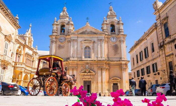Malta: Mdina, Dingli Cliffs and San Anton Botanical Gardens - Who Is This Tour Best For?