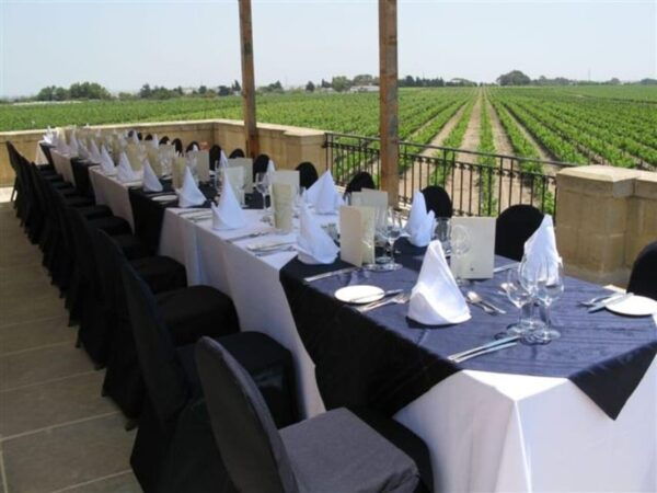 Malta: Premium Wine Tasting Experience - Booking and Availability