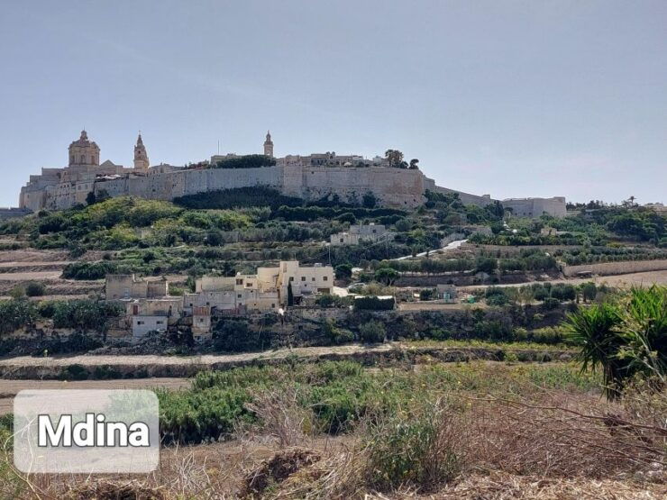 Malta: Private Half Day Tour - Pickup, Private Group, and Starting Times