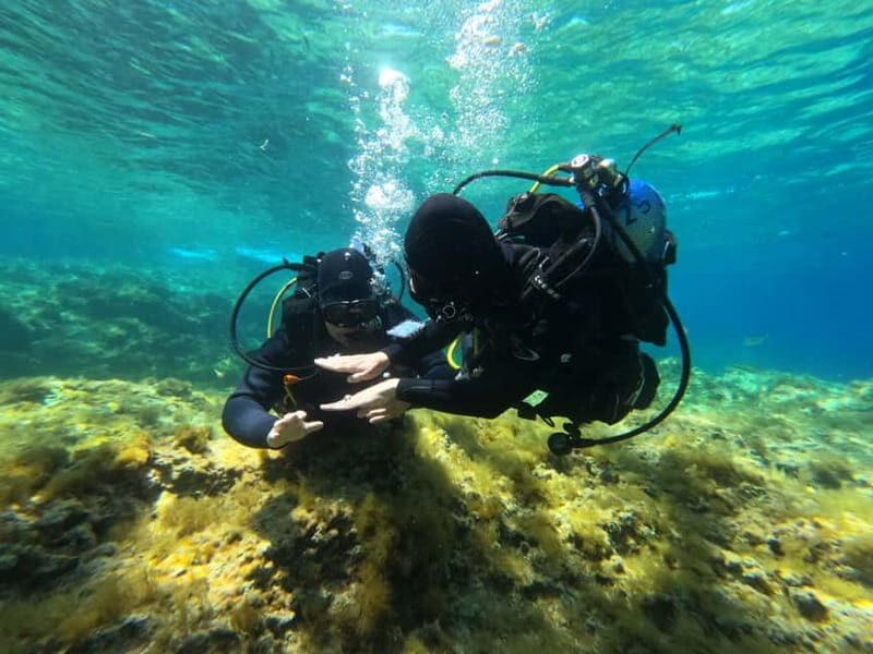 Malta: St. Paul's Bay 1 Day Scuba Diving Course - An In-Depth Look at the Malta Scuba Course