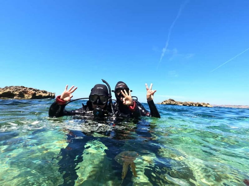 Malta: St. Paul's Bay 1 Day Scuba Diving Course - Authentic Insights from Past Participants