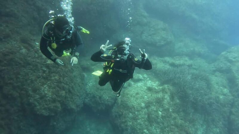 Malta St Pauls Bay: PADI Discover Scuba Diving Experience - What to Expect from the Malta PADI Discover Scuba Experience  