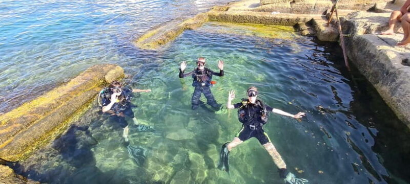 Malta St Pauls Bay: PADI Discover Scuba Diving Experience - Authentic Insights from Reviews  