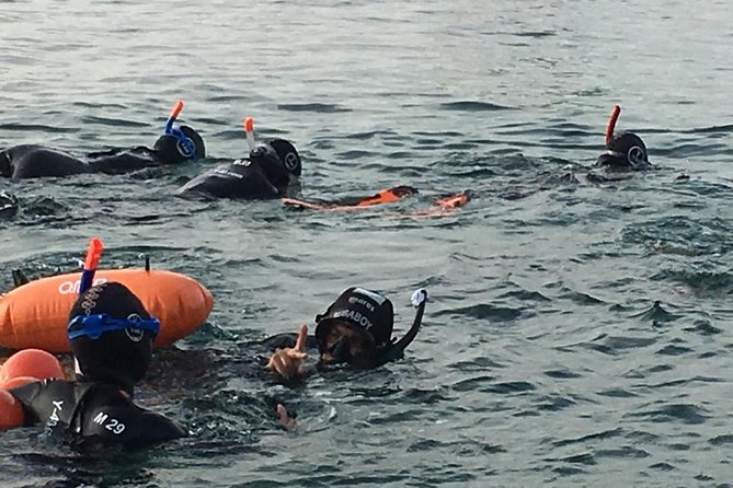 Malta Sunset Snorkeling - Practical Information