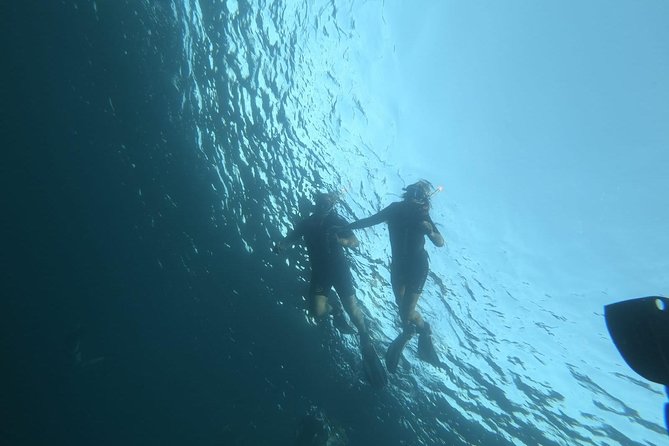 Malta Sunset Snorkeling - Location Details