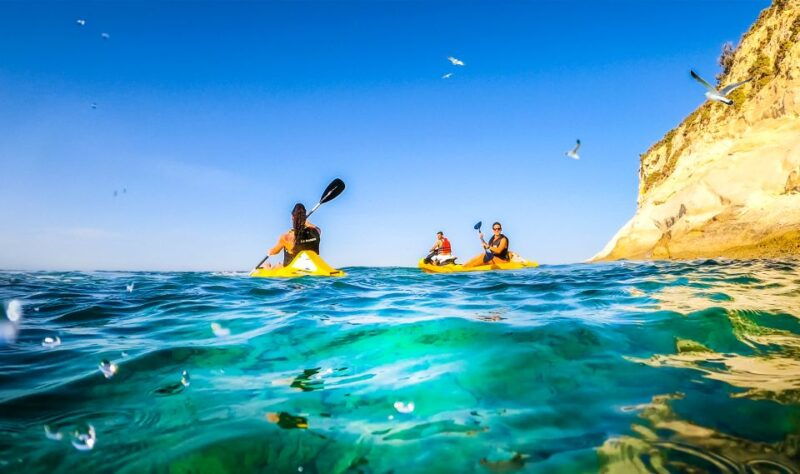 Malta: Ultimate Kayak Adventure - Who Is This Tour Best Suited For?