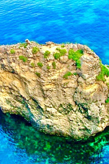 Malta's Splendour Excursion - Trips in Blue Grotto & Comino - Inclusions and Amenities