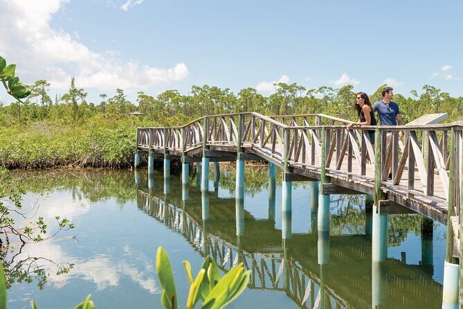 Mamma Gal Celeb-Key Native Exp. Shared Tour - Authentic Experiences and Review Highlights