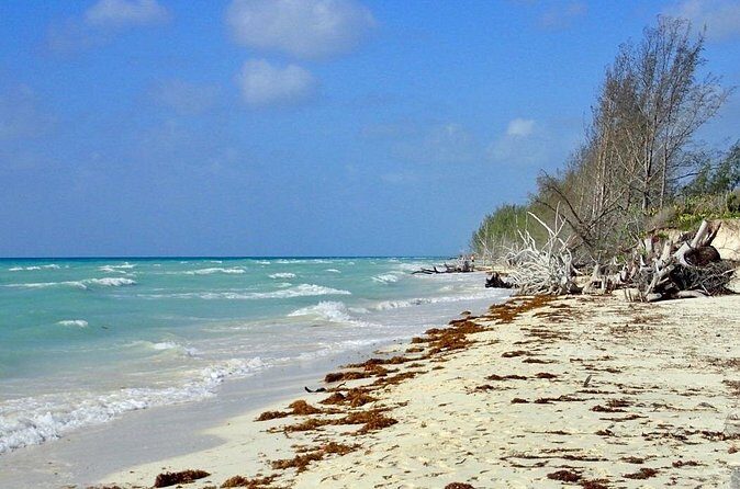 Mamma Gal Celeb-Key Native Exp. Shared Tour - Who Should Book This Tour?