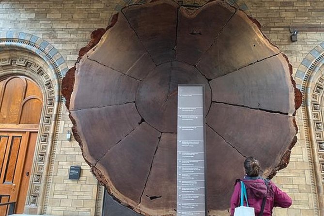 Mamma Mia! Discover the Dinosaurs at London Natural History Museum Tour for Kids - Dinosaur Exhibits