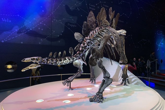 Mamma Mia! Discover the Dinosaurs at London Natural History Museum Tour for Kids - Interactive Activities