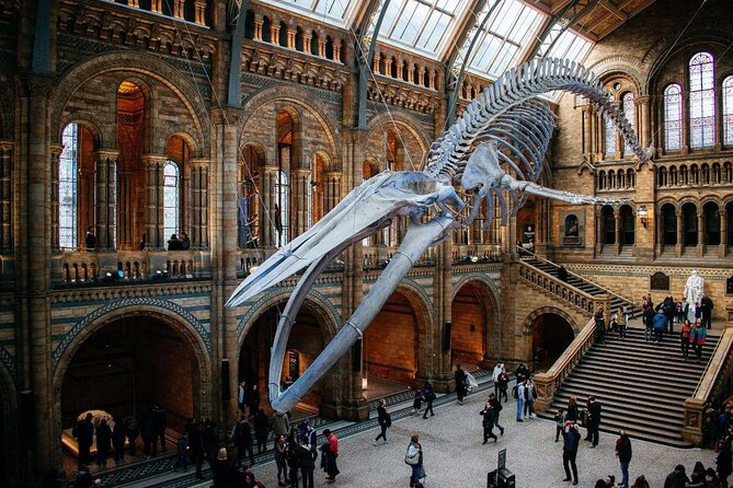 Mamma Mia! Discover the Dinosaurs at London Natural History Museum Tour for Kids - Tour Highlights