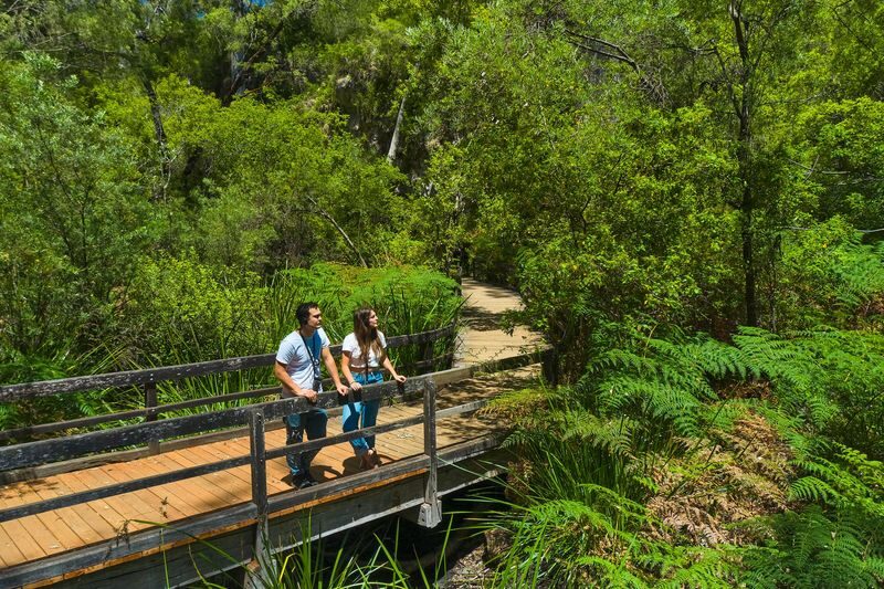 Mammoth Cave Self-Guided Audio Tour in Margaret River - Following the boardwalk into the first chamber