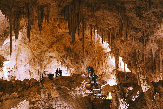 Mammoth Cave Self-guided Audio Tour (Located in Western Australia) - Cancellation Policy, Traveler Photos, and Reviews