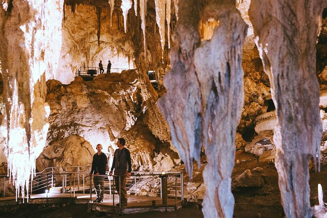 Mammoth Cave Self-guided Audio Tour (Located in Western Australia) - Viator Help Center and Terms & Conditions