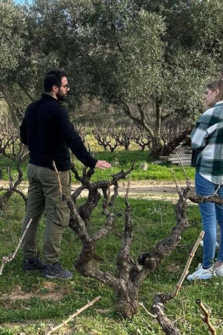 Mamoiada: Visit a Winery With Wine Tasting - Wine Tasting Details