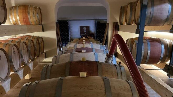 Mamoiada: Visit a Winery With Wine Tasting - Local Wine Varieties