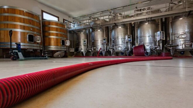 Mamoiada: Visit a Winery With Wine Tasting - Food Pairing Options