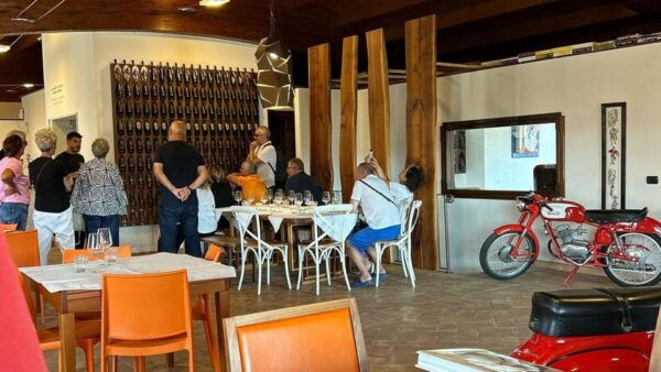 Mamoiada: Visit a Winery With Wine Tasting - Accessibility and Parking Options
