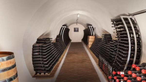 Mamoiada: Visit a Winery With Wine Tasting - Frequently Asked Questions