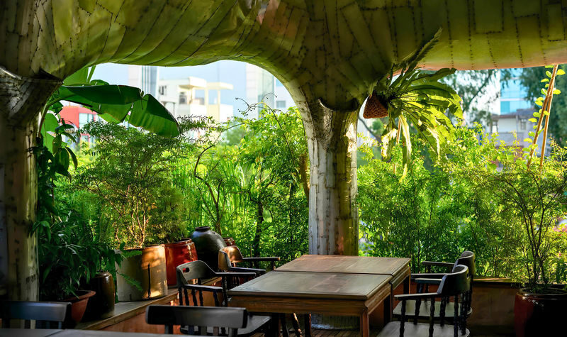 Man Moi Michelin Restaurant: Vietnamese Culinary Experience - Choosing the right Man Mòi package