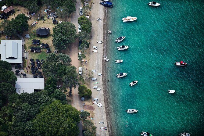 Man O' War Winery on Waiheke Island - Ferry from Auckland - A Practical Review of the Man O’ War Winery Tour from Auckland