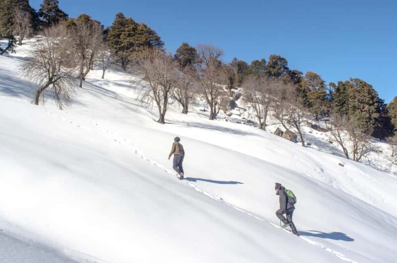 Manali: Chachogi Himachali Village Stay & Culture - Who Will Love This Tour?