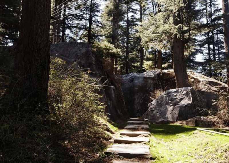 Manali Nature Walk (3 Hours Guided Trekking Experience) - An In-Depth Look at the Manali Nature Walk