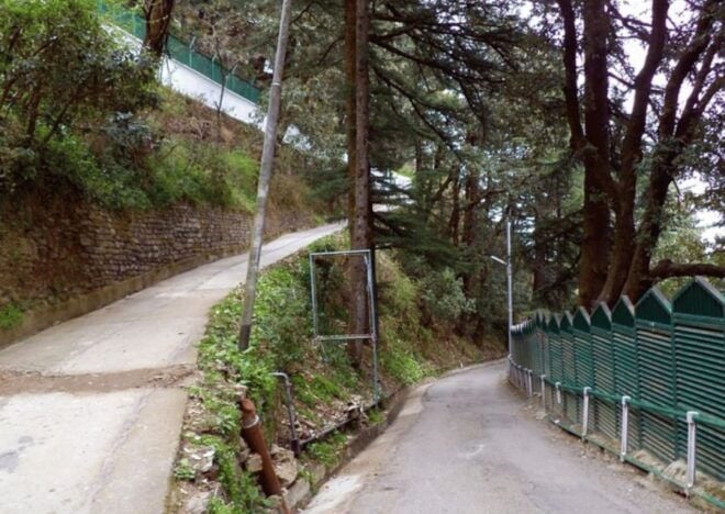 Manali Nature Walk (3 Hours Guided Trekking Experience) - Itinerary Details