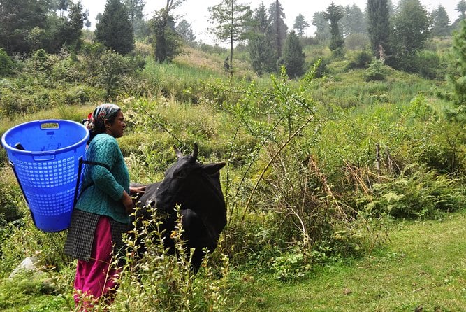 Manali Village Tour - Cancellation Policy