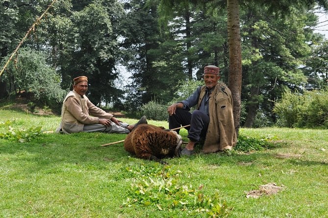 Manali Village Tour - Pricing and Availability