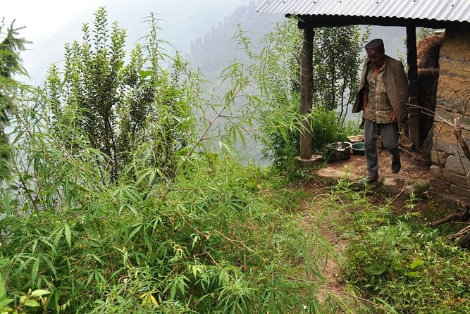 Manali Village Tour - Confirmation and Accessibility