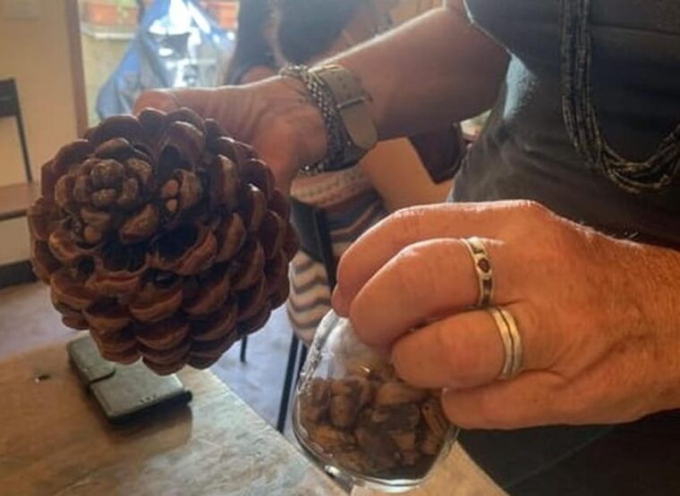 Manarola: Authentic Pesto Making Class at Cinque Terre - Meet Your Instructor