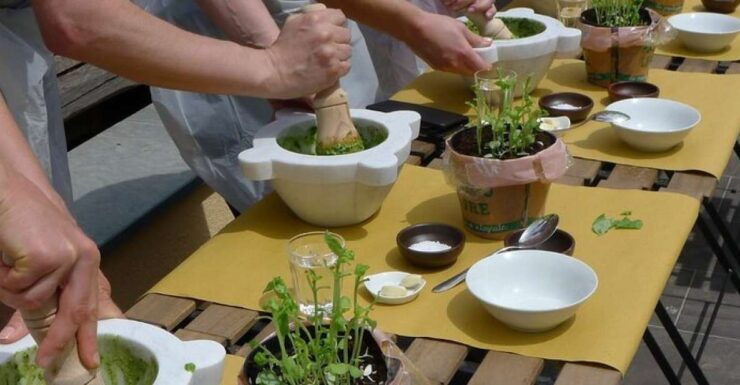 Manarola: Authentic Pesto Making Class in Cinque Terre - Activity Details