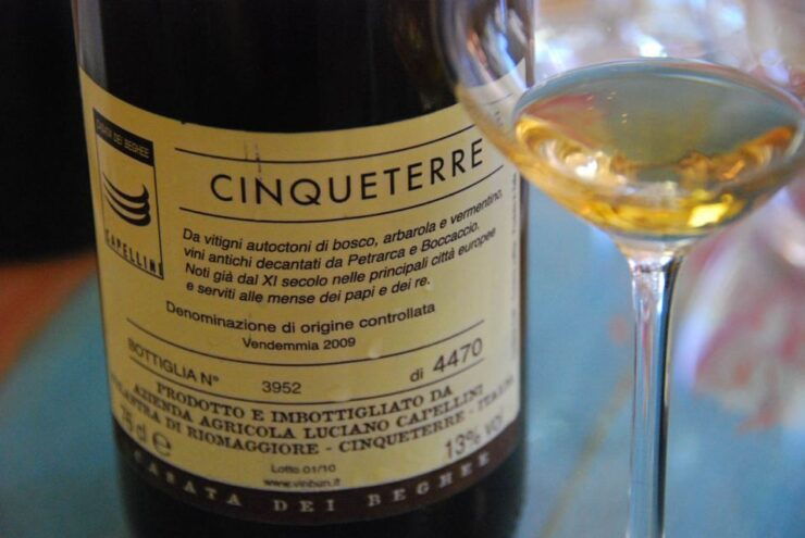 Manarola: Cinque Terre Wine Tasting - Activity Overview