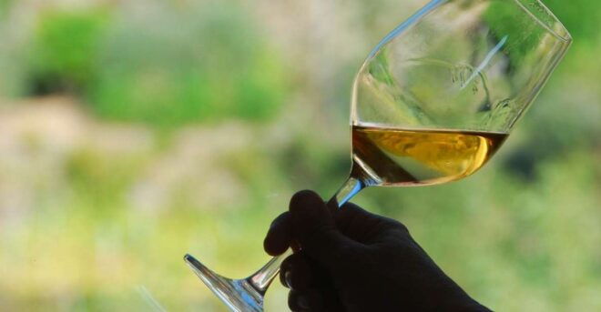 Manarola: Cinque Terre Wine Tasting - Language Options