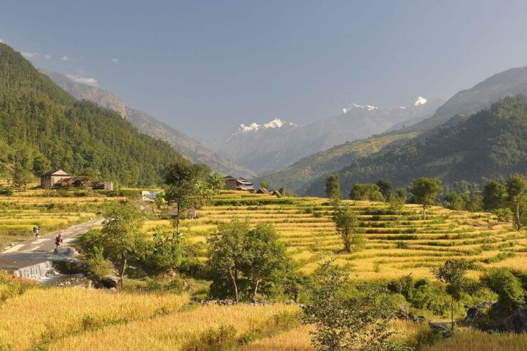 Manaslu Circuit Trek: 12 Days - Trek Overview